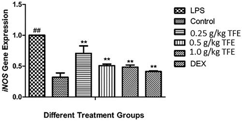 Figure 1. Effects of TFE on LPS induced iNOS gene expression in lung tissues of LPS-induced ALI. (#compared with the control, *compared with LPS, *p < 0.05, **/##p < 0.01).