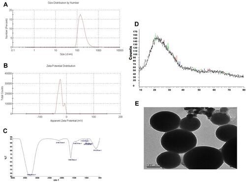 Figure 1 The prodigiosin-loaded selenium nanoparticles characterization, (A) Size distribution histogram as measured by a Malvern Zetasizer, (B) Surface charge histogram as measured by Zeta potential. (C) FT-IR spectra as detected using Fourier-transform infrared spectroscopy. (D) XRD spectra of PDGs-SeNPs. (E) Morphological shape of PDGs-SeNPs as observed by TEM.