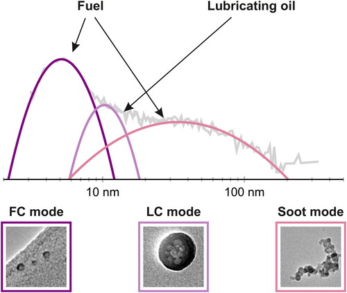 Figure 8. A schematic of a size distribution with three different nonvolatile particle modes and the most probable origins for these particles. The modes are a fuel originated core (FC) mode, lubricating oil originated core (LC) mode, and a soot mode.