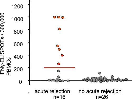 Figure 2.  Frequency of donor-reactive IFNγ-producing T cells (ELISPOT) in peripheral blood mononuclear cells of renal transplant patients prior to transplantation experiencing acute rejection or no acute rejection.