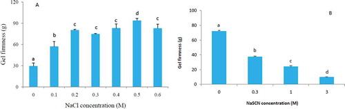 FIGURE 1 (a) Effect of NaCl on gel firmness of SPIae, 15% (w/v) soy proteins isolate, natural pH 6.93. (b) Effect of NaSCN on gel firmness of SPIae, 15% SPI (w/v), 0.2 M NaCl. Error bars represent standard deviation. a–dDifferent letters indicate statistically significant differences among samples.