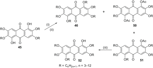 Scheme 10. Synthesis of mono-functionalised rufigallol and derived metallomesogens: (i) DMSO/KOH/RBr; (ii) Ac2O/Py; (iii) Aq. NaOH/EtOH.