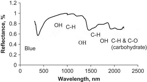 Figure 2   Average spectrum of authentic Saudi honey showing significant absorption bands.