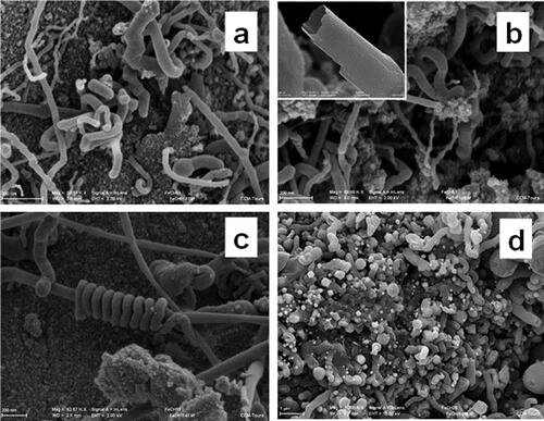 Figure 11. SEM images of the products of ferrocene treatment at 2.5 GPa, 900 (a,b,c), and 1100°C(b). Light spherical particles are iron carbides coated with a carbon shell.