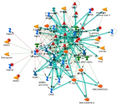 Figure 1 The apex of the LHBETATAG retinal tumors presented with the highest percentage of angiogenesis. Several factors were found dysregulated following treatment with 2-DG. Key objects include ESR1 nuclear, ubiquitin, JAB1, and CAPER. Red dots mean that the factor was upregulated.