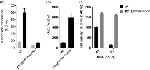 Figure 2 The insertion PWLELAAA increases human NOX5 production. 293HEK-F cells were transfected with either the human NOX5 wild type or NOX5-F718insPWLELAAA cloned as a GFP fusion in a pCMV vector, as described in Methods. (A) Two days after transfection, superoxide production was measured in whole cells using the DHE assay: cells were either left untreated (gray) or NOX5 activation was induced by adding 1 mM CaCl2, 1 μM ionomycin, 100 nM PMA (black), as indicated in Methods. Fluorescence signal was recorded at the bottom of the plate using 524 nm excitation and 606 nm emission wavelengths for 40 min at 30 °C. The value corresponding to the 40-min time point was plotted. Values were normalized against the activated wild type (untreated: wt =15 ± 1%, F718insPWLELAAA=8 ± 6%; Ca2+-activated: wt =100 ± 12%, F718insPWLELAAA=14 ± 1%). (B) The amount of enzyme produced in cells was obtained by measuring the fluorescence intensity of the GFP moiety genetically fused to the human NOX5 gene with 488 nm excitation and 520 nm emission wavelength. (C) Cell viability was evaluated by cell count using the Trypan Blue exclusion assay. The experiments were repeated three times in duplicates. Data are presented as mean values ± standard error of the mean (SEM).