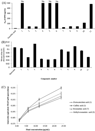 Figure 4. (A) DPPH scavenging activity of isolated compounds from Perilla frutescens. (B) Antioxidant activity of isolated compounds from the P. frutescens leaves in the FRAP assay. (C) FRAP assay of different concentrations of the four highly active compounds. Na is not active.