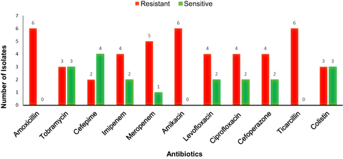 Figure 1 Antibiotic susceptibility testing of clinical isolates Pseudomonas aeruginosa.