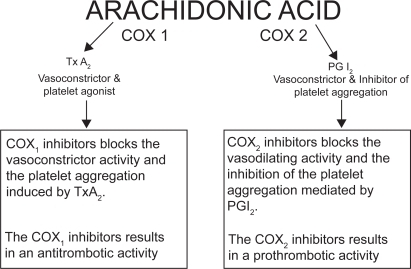 Figure 2 Effect of COX-1 and COX-2 inhibition on mechanisms involved in CHD pathogenesis Copyright © 2000. Modified with permission from Whelton 2000.