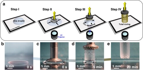 Figure 12. (a) A schematic showing how a single resin droplet is cured into the desired 3D structure. (b–e) Optical images of the curing sequence. With the continuous projection of the UV illumination pattern and with the slow, constant elevation of the supporting plate, the liquid resin is successively cured into the solid structure at the curing interface. Simultaneously, the droplet recedes as the liquid resin is consumed [Citation62].