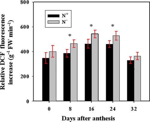 Figure 2.  Comparison of the relative DCFH-DA fluorescence intensity in the N− and N+ peduncles. ROS concentration was measured using DCFH-DA that is oxidized by ROS to DCF. Fluorescence was determined every 10 min during 20−60 min after the incubation of peduncle cross sections with DCFH-DA. Bars represent mean±SD of four replicates. For the ANOVA, *denotes significant effects at P<0.05.