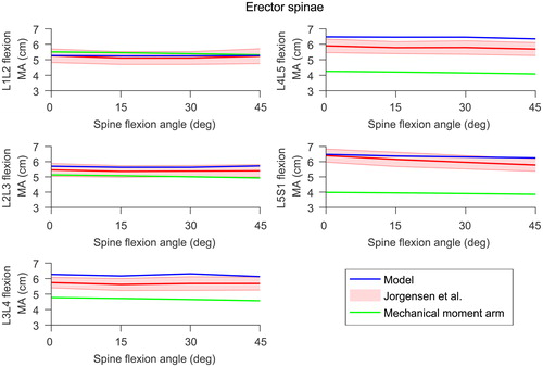 Figure 3. Model moment arms (in blue) at the lumbar joints for the erector spinae compared to experimental data (in red) reported by Jorgensen et al. (Citation2003). The shaded area is one standard deviation. The moment arms calculated with the mechanical approach are shown in green. Right and left side moment arms from the model were very similar so only the right side is shown here.