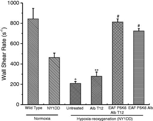 Figure 5 Effect of Alb T12, P5K6 Alb T12, and P5K6 Alb on wall shear rate in transgenic sickle cell mice (NY1DD) and wild type (C57BL/6J). Values are mean ± SE. Four to six venules were examined for each mouse (n = 3–4 each experimental group); +p< .005–.0001 vs. normoxic wild type controls; **p< .05–.023 vs. respective normoxic values for NY1DD mice; #p< .004–.00001 vs. untreated NY1DD mice subjected to hypoxia-reoxygenation.