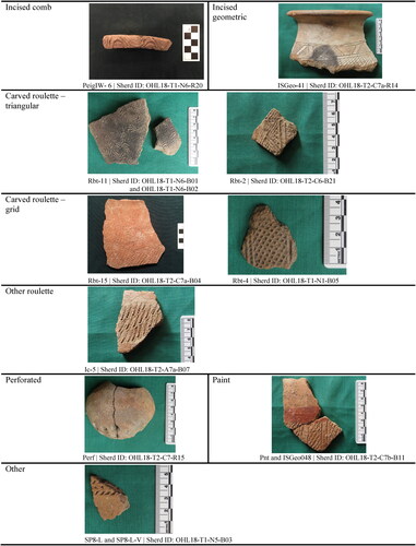 Figure 4. The seven major types of decoration identified at Ohlinhoué.