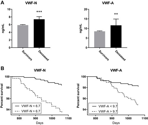 Figure 3 Increased VWF processing was associated with increased risk of mortality. (A) VWF-N and VWF-A levels were increased in subjects that died within a two-year follow-up period (n=30) compared to survivors (n=910). (B) VWF biomarkers were dichotomized using AUROC analysis. Kaplan-Meier survival curves showed high biomarker levels associated with decreased survival time. Data presented as median + 95% CI. **p<0.01, ***p<0.0001.