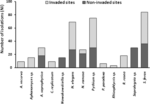 Figure 5. Number of isolations (NI) of the taxa in G. triacanthos invaded and non-invaded sites.