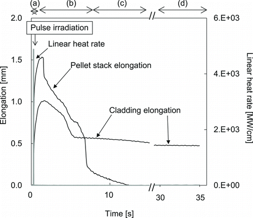 Figure 3 Pellet stack and cladding elongations in the F-NG10 test