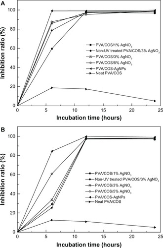 Figure 11 Bactericidal kinetic study against Staphylococcus aureus (A) and Escherichia coli (B) for the different nanofibers.Abbreviations: AgNP, silver nanoparticle; COS, chitosan oligosaccharide; PVA, poly(vinyl alcohol); UV, ultraviolet.