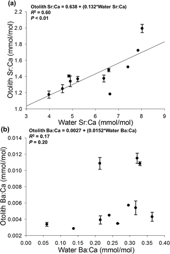 Figure 2. Linear regression of (a) Sr:Ca and (b) Ba:Ca of the terminal otolith from age-0 walleye on equivalent ratios in water at collection sites in Lake Oahe. Error bars represent ±1 SE of the mean.