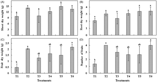 Figure 1. Mycorrhizal inoculation effect on red pepper plant growth. (A) Shoot dry weight; (B) Root dry weight; (C) Fruit dry weight; and (D) Number of fruits. Each value represents the mean of three replicates ± standard error. T1: Control; T2: C. etunicatum; T3: Rhizophagus sp.; T4: F. mosseae; T5: G. margarita; T6: C. lamellosum.