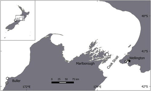 Figure 1. Location of the study sites in central New Zealand. Sites are in Buller Region at Nile River (grey circle) and Cape Foulwind (white circle); Marlborough at Motuara Island (white square) and Wellington at Balaena Bay (white star), Matiu/Somes Island (grey star) and Days Bay (black star).