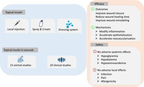 Figure 1 The summary of topical insulin in wound healing. The application of topical insulin consists of local injection, insulin spray and cream, and dressing delivery system. This study includes 15 animal studies and 10 clinical studies of topical insulin for wounds. The results exhibited that topical insulin can improve wound closure, reduce wound healing time, and improve wound remodeling through modifying inflammation, accelerating epithelialization and neovascularization. No adverse systemic effects (hypoglycemia, hypokalemia, hypoaminoacidemia) and adverse local effects (infection, pain, allergenicity) were observed.