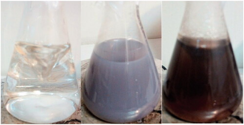 Figure 1. Colour change during nanoparticle synthesis. (From left to right: initial time, AgClNPs and AgNPs).