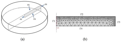 Figure 2. Axisymmetric model of the banana slab: (a) cylindrical banana sample, (b) 2D domain with non-uniform meshing.