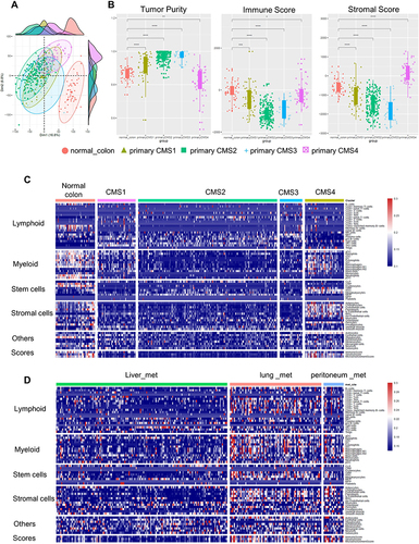 Figure 4 Tumor microenvironment (TME) analysis of primary and metastatic CRC. (A) Principal component analysis (PCA) of gene expression in normal colon tissues and primary CRC of four CMS groups. (B) The “tumor purity”, “immune score”, and “stroma score” of normal colon tissues and primary CRC of four CMS groups evaluated with the ESTIMATE algorithm. (C) The abundance of 64 types of immune and stromal cells infiltrated in normal colon tissues and primary CRC tissues of four CMS groups calculated with the xCell R package. (D) The abundance of 64 types of immune and stromal cells infiltrated in liver, lung, and peritoneal metastases of CRC calculated with the xCell algorithm.