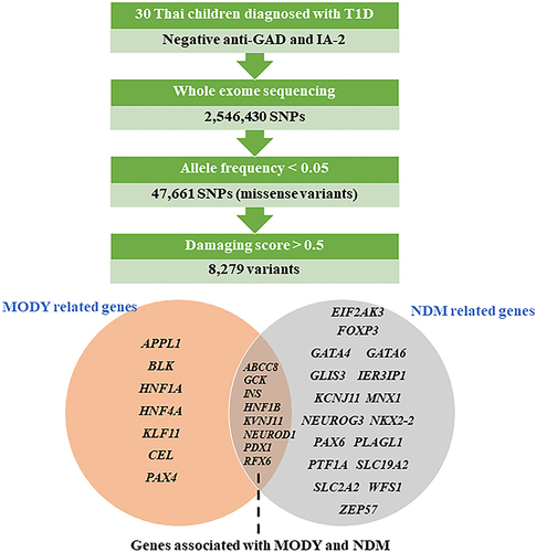 Figure 2 Variants filtering in MODY and/or NDM known genes.