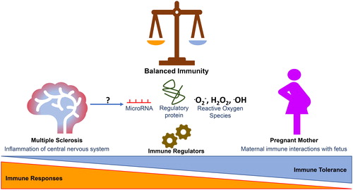 Figure 1. Essential roles of immune regulation.