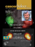 Cover image for Cancer Biology & Therapy, Volume 6, Issue 10, 2007