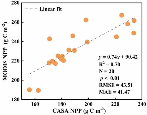 Figure 11. Comparison of NPP simulation value and product value.