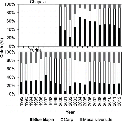 Figure 6 Catch trend participation level by species in Lake Chapala and Lake Yuriria fisheries.