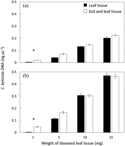 Fig. 4 Comparison of Cercospora beticola DNA concentrations in four weights of ‘Ruby Queen’ table beet leaf tissue inoculated with C. beticola isolates (a) Tb14-081 (ICMP 21691) and (b) Tb14-085 (ICMP 21692). Each weight was assessed in triplicate as either leaf tissue or leaf tissue mixed with pasteurized soil to a total of 100 mg. Bars represent the standard error, and an asterisk indicates a significant difference between treatments (P < 0.01).