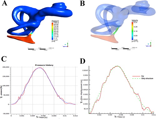 Figure 3. The simulated biomechanical properties of the 3D model (A) pressure cloud of the bony labyrinth in the inner ear; (B) velosity cloud of the bony labyrinth in the inner ear; (C) pressure variation curve of inlet surface and fluid-solid coupled surface; (D) displacement curve of the round membrane.