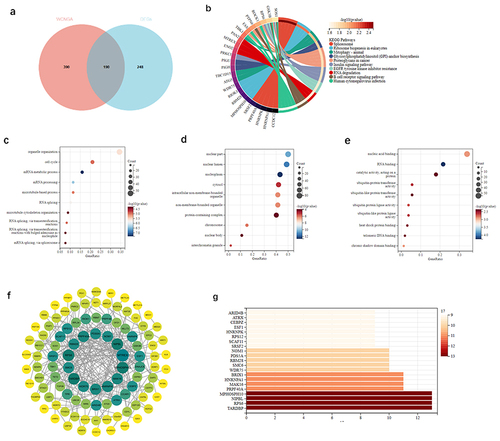 Figure 5 Analysis of the genes of DEGs and key modules.