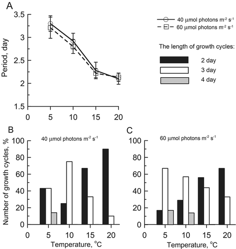 Figs 5. Effects of temperature on the period of growth rate (A) and the percentage ratio of growth cycles at 40 (B) and 60 (C) μmol photons m−2 s−1 in Ulva lactuca with a 12 : 12 h light–dark regime.