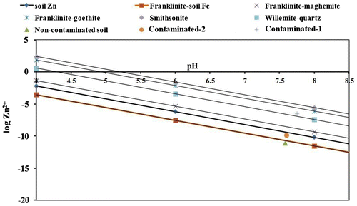 Figure 2. Solubility diagram of Zn containing minerals in soil.