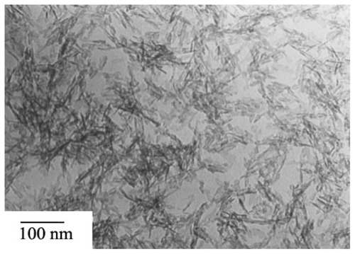 Figure 5 Transmission electron micrographs of nanoapatite without hydrothermal treatment.
