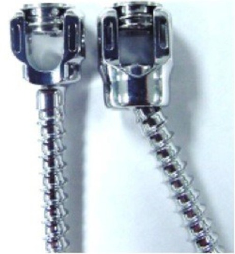 Figure 3 An example of the Shilla screw with cap.