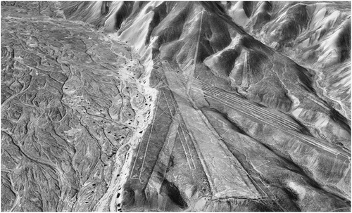 Figure 17. 3D model of the Nasca geoglyphs (line concentration near Palpa)