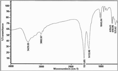 Figure 1. FTIR of CuO NPs.