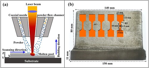 Figure 2. (a) Schematic diagram of the multilayer LDED process with a zigzag scanning strategy, (b) the geometrical descriptions of the LDEDed thin-wall build and tensile samples.