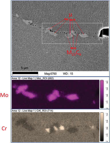 Figure 4. Sequences of M23C6 and of µ-phase decorating the grain boundaries of A617 after 34220h of creep at 700°C/165MPa visible in SEM; with a mo- and Cr-mapping below (modified from [Citation16], where also further proof for existence of µ-phase is provided).