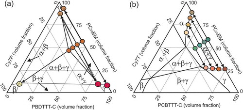 Figure 7. Schematic of a ternary phase diagram of PC70BM: Cy7: PBDTTT-C with (a) Cy7P and (b) Cy7T. The starting compositions of the blends with increasing Cy7 contents 0.1, 0.3 and 0.5 are represented in the diagrams as well as the compositions of the final phases. The ternary blend with Cy7P blend separates into three phases α¸ β and γ. The ternary Cy7T blends separate into two phases α and γ whereby the compositions are determined by the binodal.