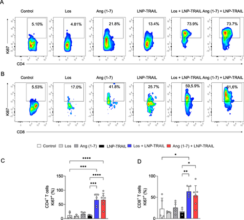 Figure 8 LNP-TRAIL combined with TME normalization increases the proliferation rate of tumor-infiltrating CD4+ and CD8+ T cells. Gating strategy for identifying (A) Ki67+/CD4+ and (B) Ki67+/CD8+ T cells. Frequency of tumor-infiltrating (C) CD4+ T and (D) CD8+ T cells expressing Ki67 cell proliferation marker (n = 3–7 samples/group). Data are presented as mean ± SD. One-way ANOVA followed by Tukey’s multiple comparison test (*p < 0.05; **p < 0.01; and ***p < 0.001 and ****p < 0.0001).