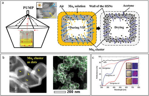 Figure 8. Upper: (a) Sketch of the vacuum impregnation process (VIP) and the possible movement of the air and the nanoclusters (b) STEM image of [{Mo6Ii8}(C2F5COO)a6]@HSNs and the overlapped EDX mapping image of the Mo element on the HSNs. (c) the UV-Vis reflectance spectra of: HSNs (black), HSNs mixed with [{Mo6Ii8}(C2F5COO)a6]2- without the VIP (red dot), [{Mo6Ii8}Cl)a6]@HSNs (blue) and [{Mo6Ii8](C2F5COO)a6]@HSNs with the VIP (red line). Adapted from 116 with permission from Elsevier.