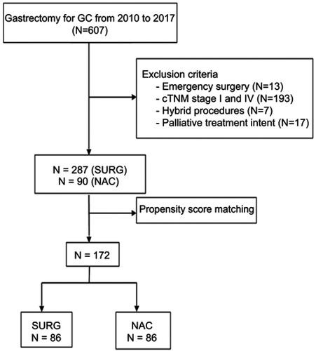 Figure 1 Flowchart.Abbreviations: GC, gastric cancer; NAC, neoadjuvant chemotherapy; SURG, surgery.