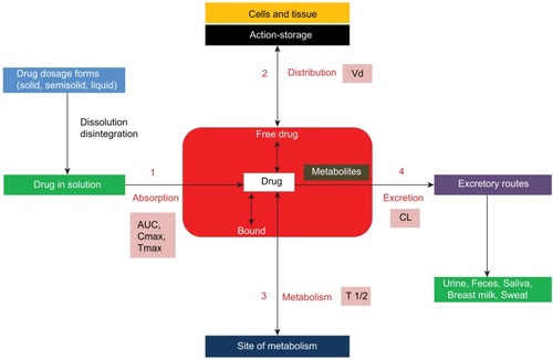 Figure 1 Schematic diagram showing the four pharmacokinetic processes: absorption, distribution, metabolism and excretion (ADME) including their pharmacokinetic parameters.